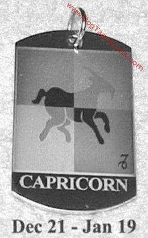 Capricorn ( Dec 22   Jan 19 )