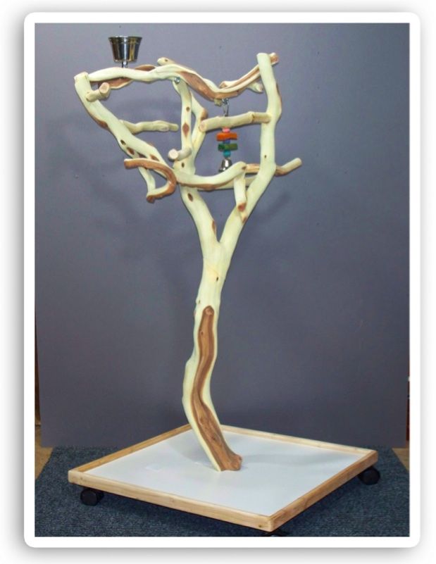 Manzanita Parrot Tree Bird Stand Toy Play Gym Like Java Wood