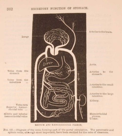 1898 Lectures on Medicines Pharmacology Lauder Brunton