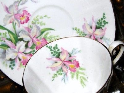 Roslyn Sweet Romance Pink Orchids Bows Tea Cup and Saucer Fab