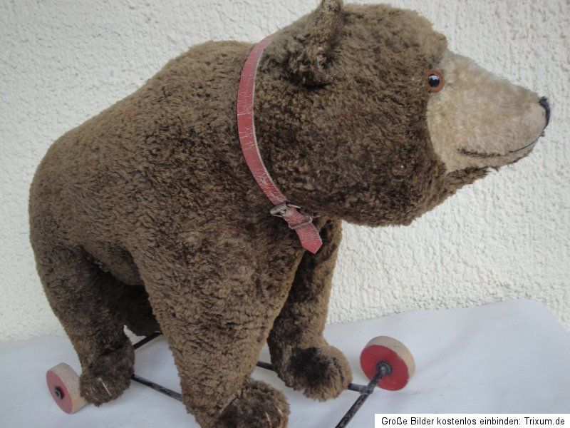 Steiff Brown Teddy Bear on Wheels 1940s w Growler Top RARE