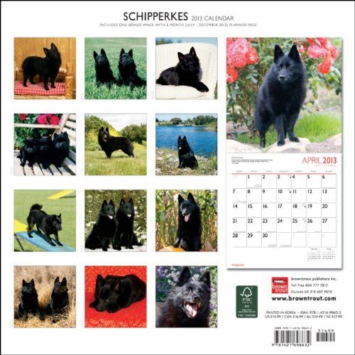 Kalender 2013 Schipperke   kleiner Bootsmann   Browntrout