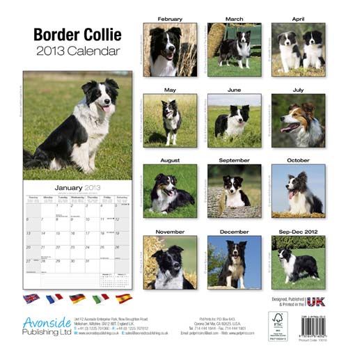 Border Collie Kalender 2013   Hochglanz   16 Monate gültig