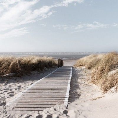 Glasbild Morning Walk Holz Steg durch die Dünen Strand Natur Meer 20