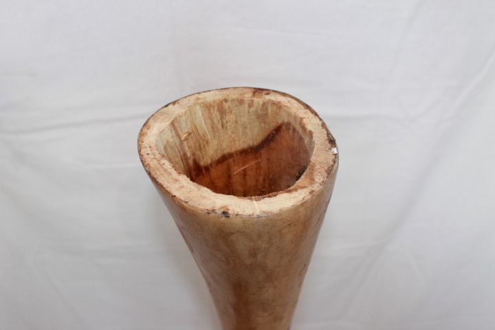 Eukalyptus Holz Eukalyptusholz Didgeridoo natur 130cm E