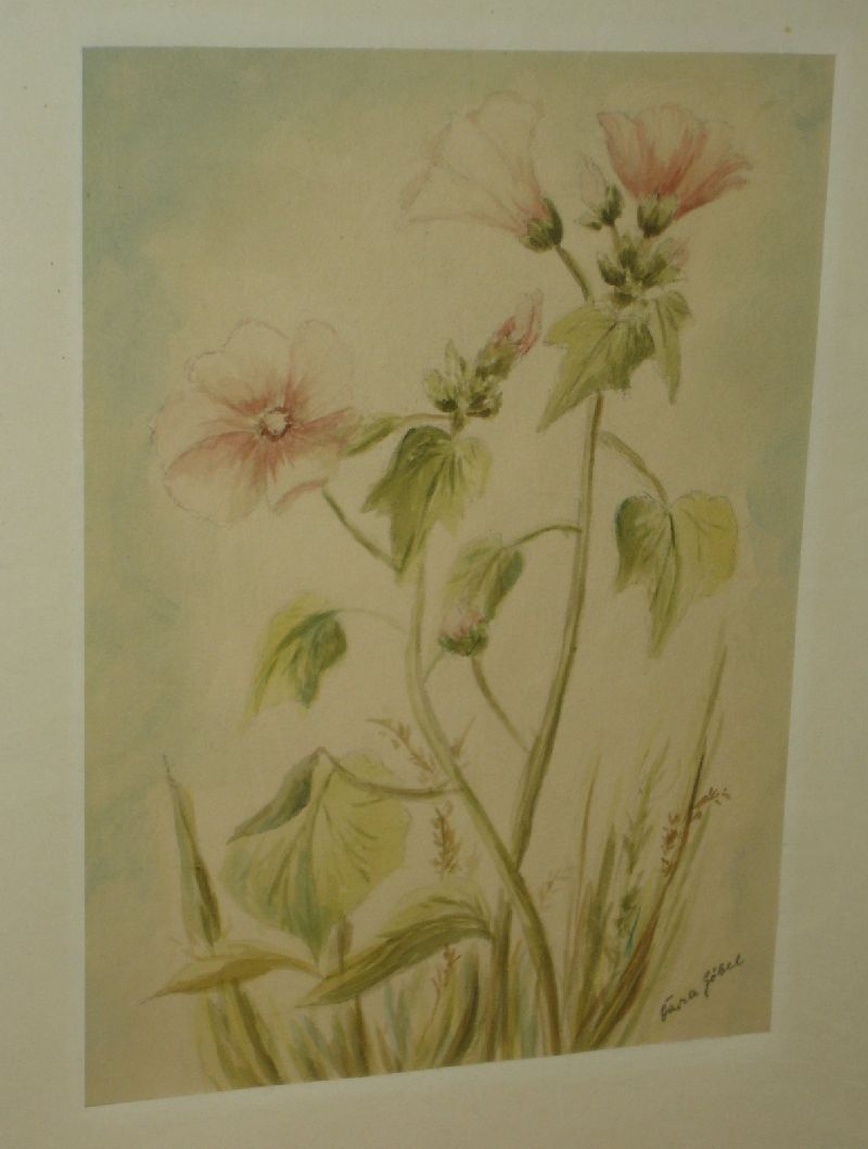 Daria Göbel Blumen, Aquarell, ger/Glas 155/13009