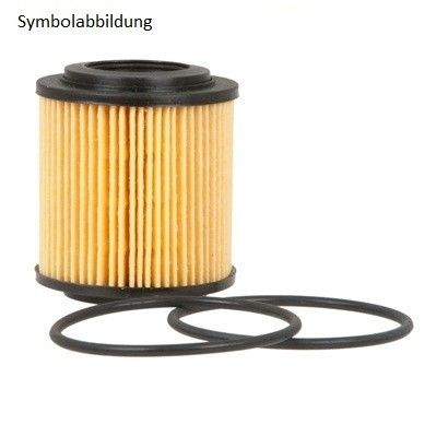 ÖLFILTER BMW E91 TOURING 325 D M57306D2 + M57N2306D3