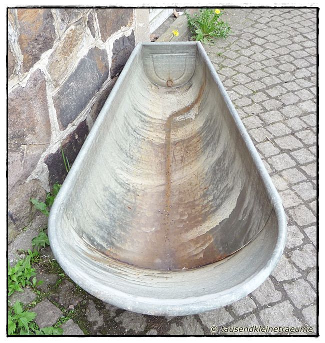 Auf den Artikelbildern kann es teilweise Lichtspiegelungen geben. Auf