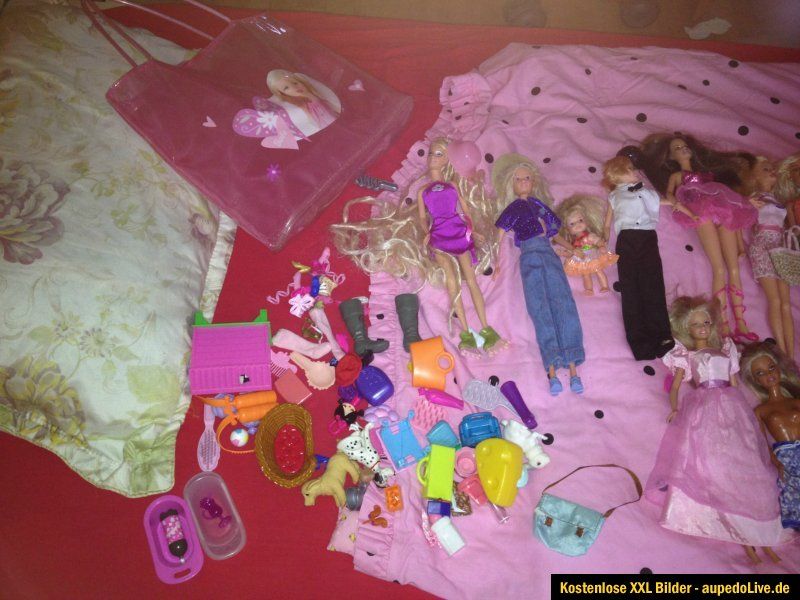 Barbie Sammlung TOP Zustand (Frauen, Kinder, Kleidung, Accessoires