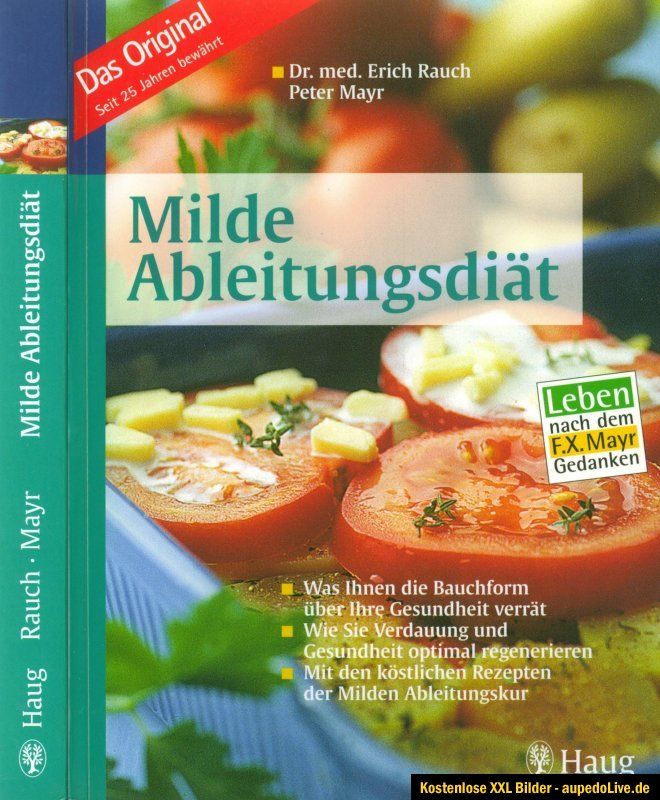 Milde Ableitungsdiät Gesundheit Küche Diät