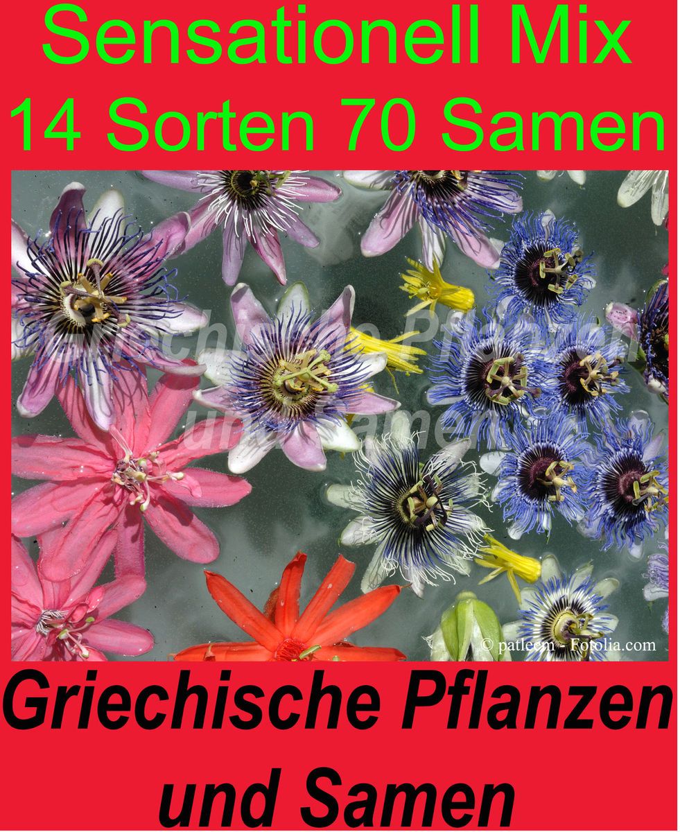 Passiflora Mix * 14 Sorten * 70 Samen * Maracuja * tolles Geschenk