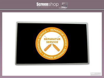 Display Reparatur Service Toshiba Satellite L670 Serie, 17,3