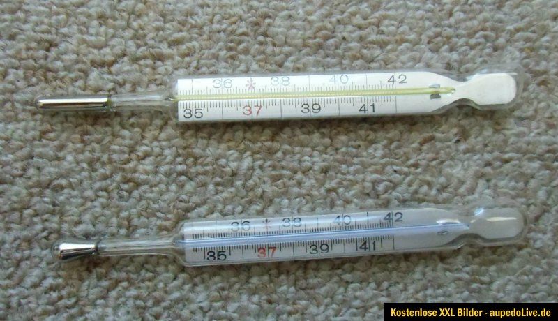 Fieberthermometer Quecksilber 2 x / Jenatherm N + Hinneburg