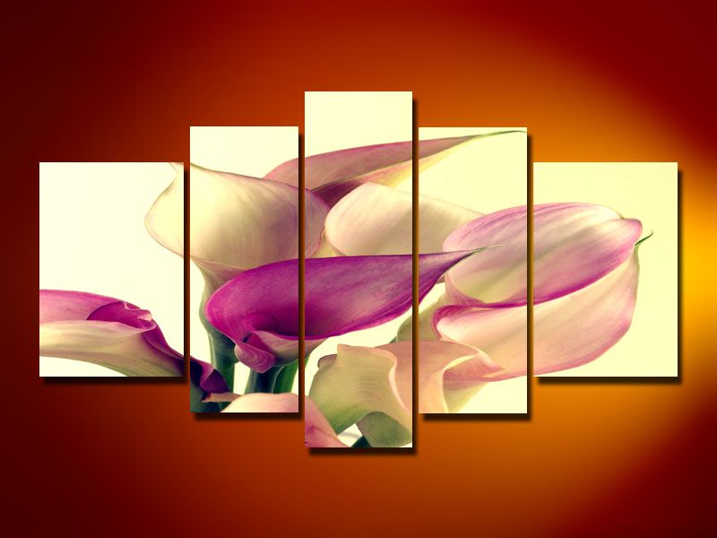 LILA GELBE CALLA BILD BILDER 100 cm x 60 cm #918