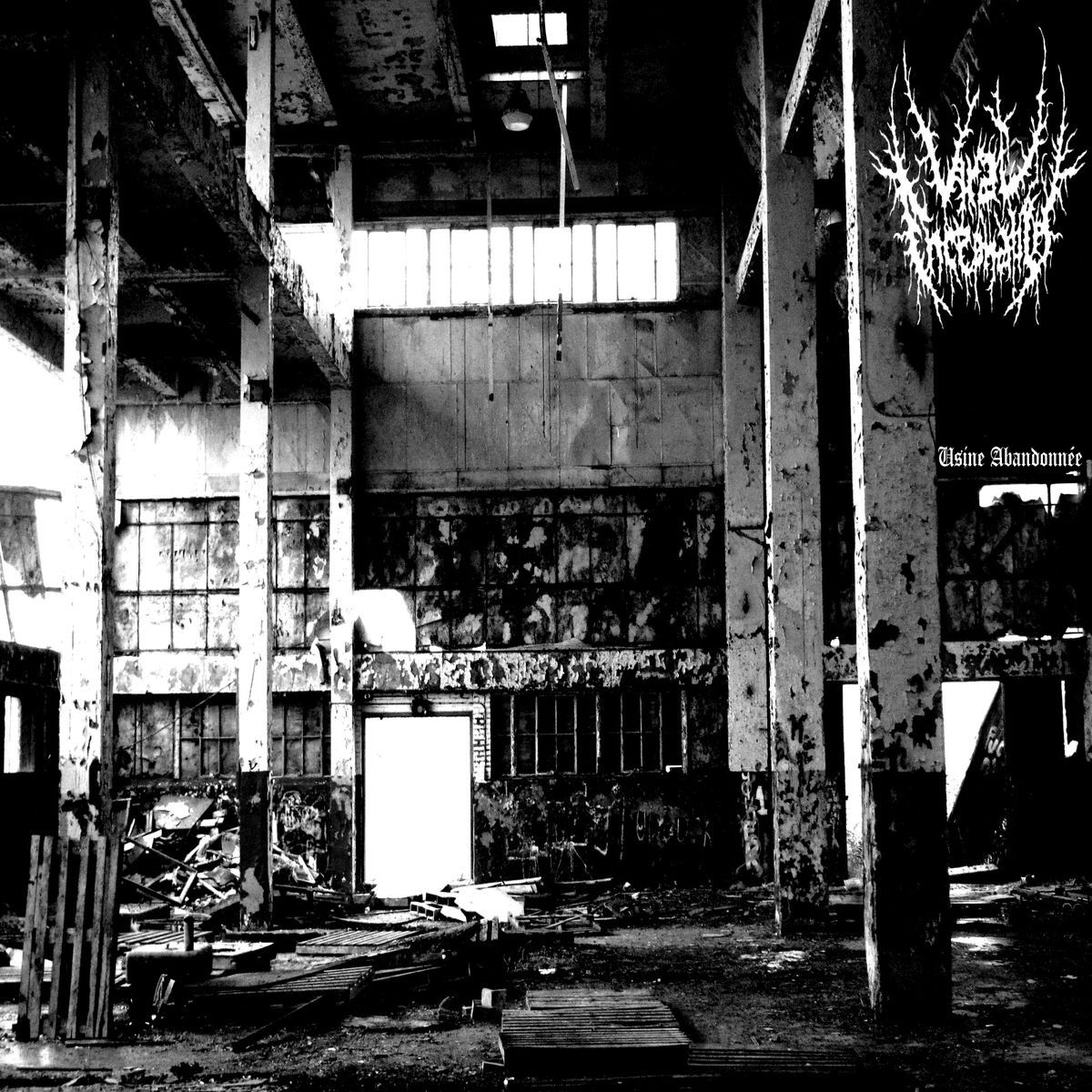 VIRAL ENCEPHALITIS   usine abandonnèe NEW RELEASE