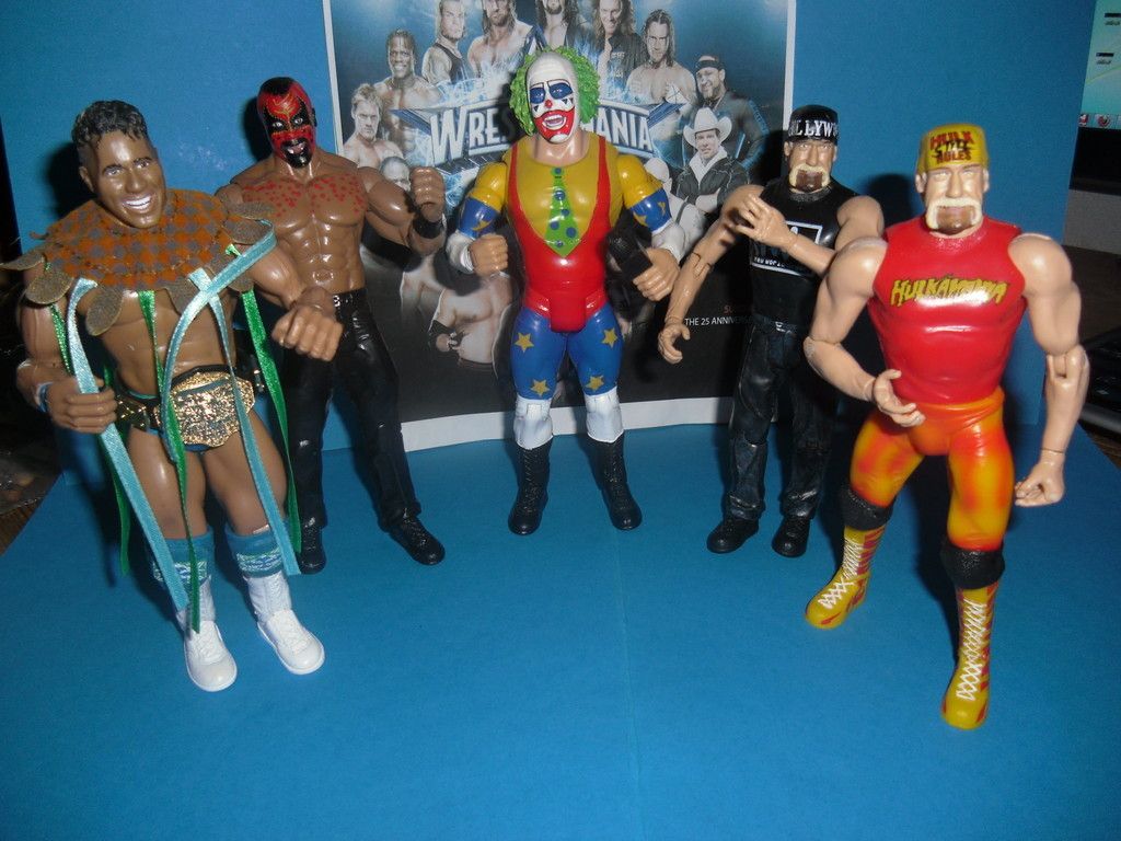 Doink The Rock Hulk Hogan WWE Wrestling Figur Jakks