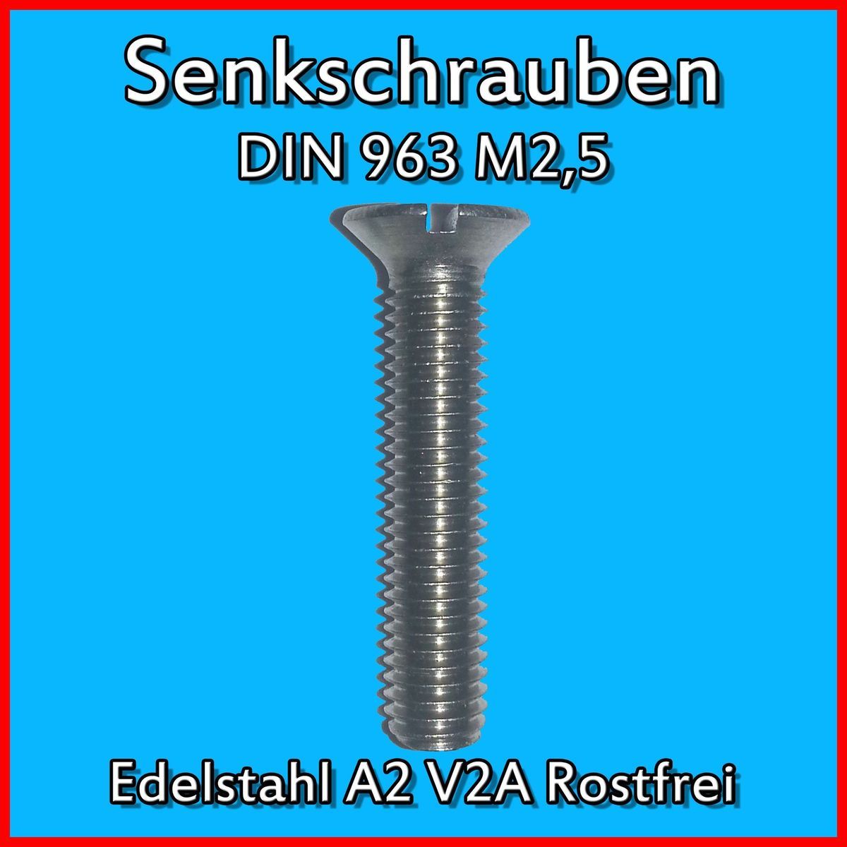 DIN 963 M2,5 M 2,5 A2 V2A EDELSTAHL Senkschrauben mit Schlitz